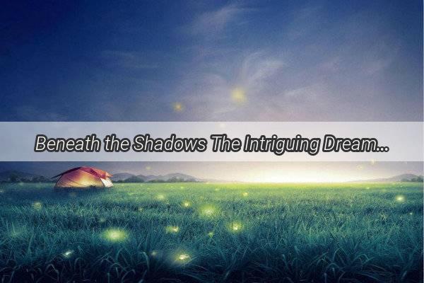 Beneath the Shadows The Intriguing Dream of a Thief in the Home Seeking Treasures